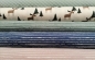 Preview: Baumwoll Jersey Streifen Jeans Blau