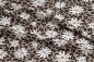 Preview: VB - EP " LEO FLOWER - braun "  SOFTSHELL