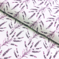 Preview: Baumwoll Jersey - Aquarell Lavendel Lavendelpflanze