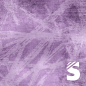 Preview: STROKES  #Purple   - Bio French Terry