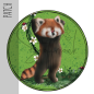 Preview: Patch / Aufnäher  - "Roter Panda" grün
