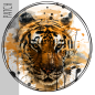 Preview: Patch / Aufnäher  - Tiger weiss