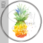 Preview: Patch / Aufnäher  - Aquarell Ananas - Größe wählbar -