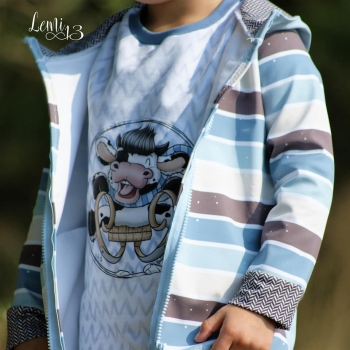 Eigenproduktion Blockstreifen III SOFTSHELL - Winterserie