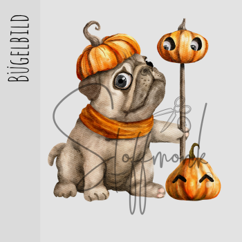 Bügelbild - Halloween  "Hund Orange"