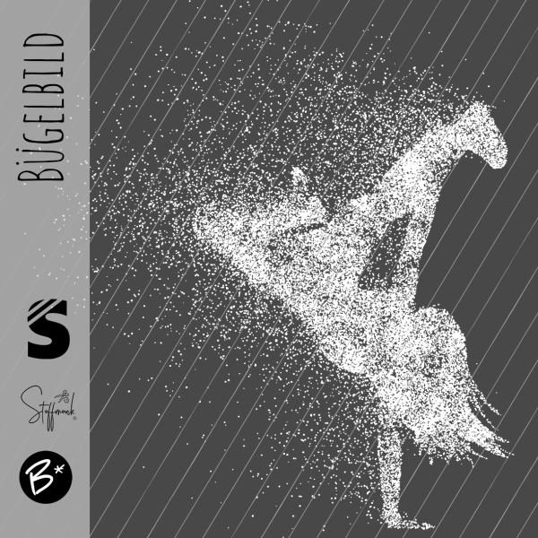 Bügelbild -  " Breakdance # weiss "