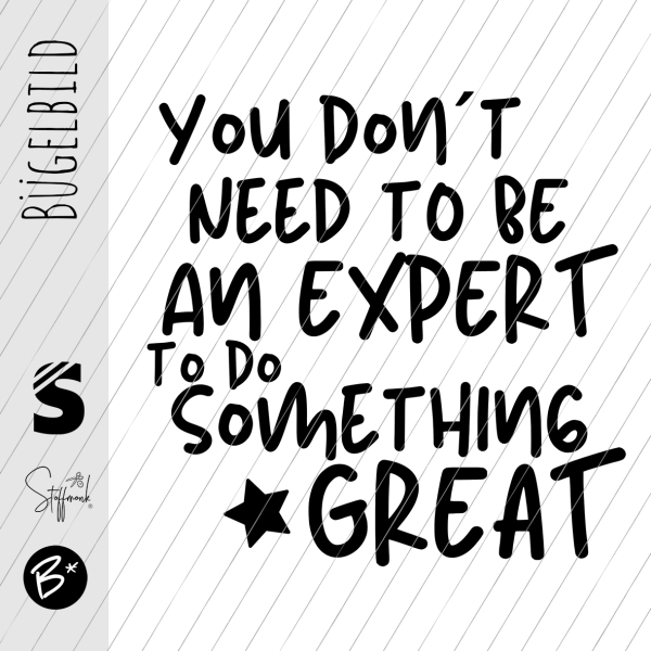 Bügelbild -  " No expert... "