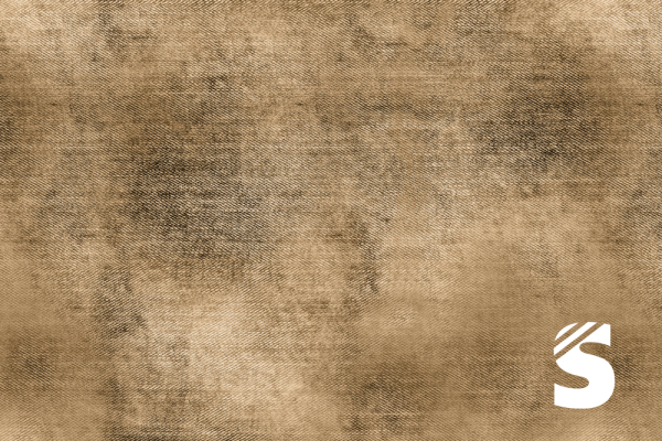 Denim  BRAUN #22   - Bio French Terry