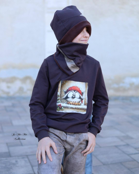 Bügelbild -  " Waschbär am Fenster "