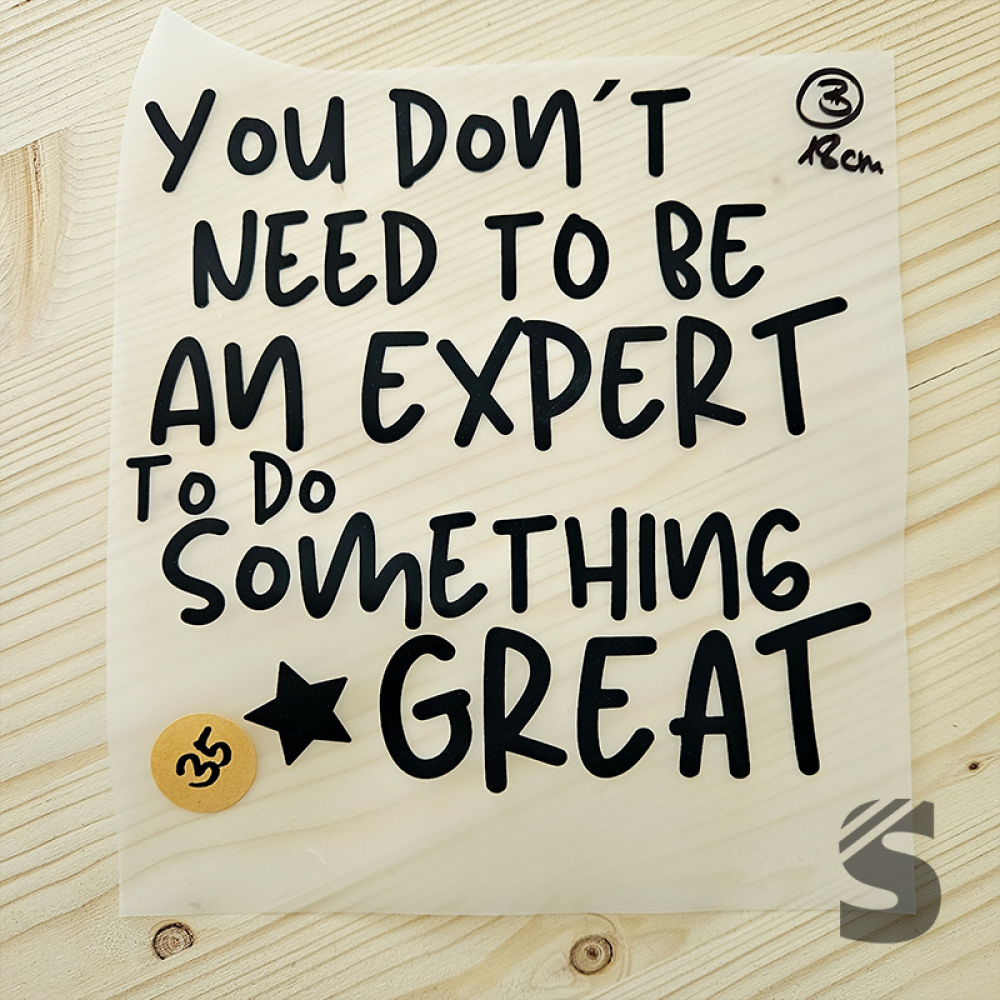 Bügelbild B-WARE! - längste Seite ca. 18cm   - #BB_R 35 - YOU DON`T NEED....